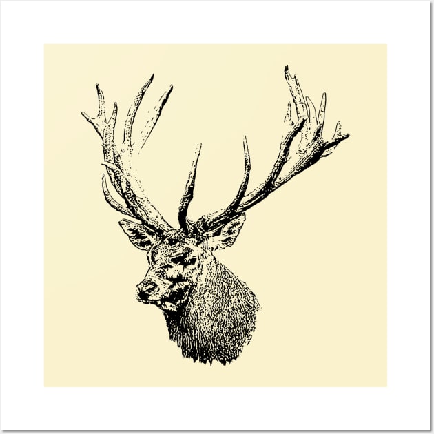 Red deer portrait Wall Art by Guardi